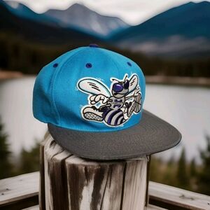 Mitchell And Ness Charlotte Hornets SnapBack Hat Teal and Gray NBA